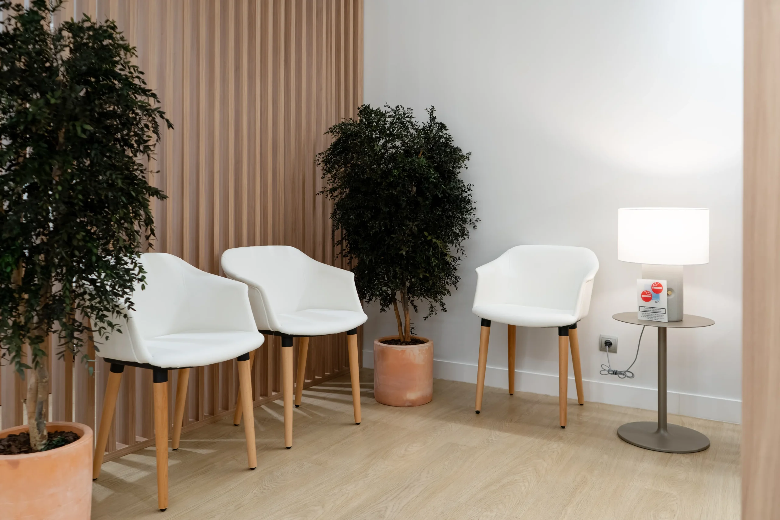 Rincón de espera de Dentalios con sillones blancos, plantas y una celosía de madera de fondo